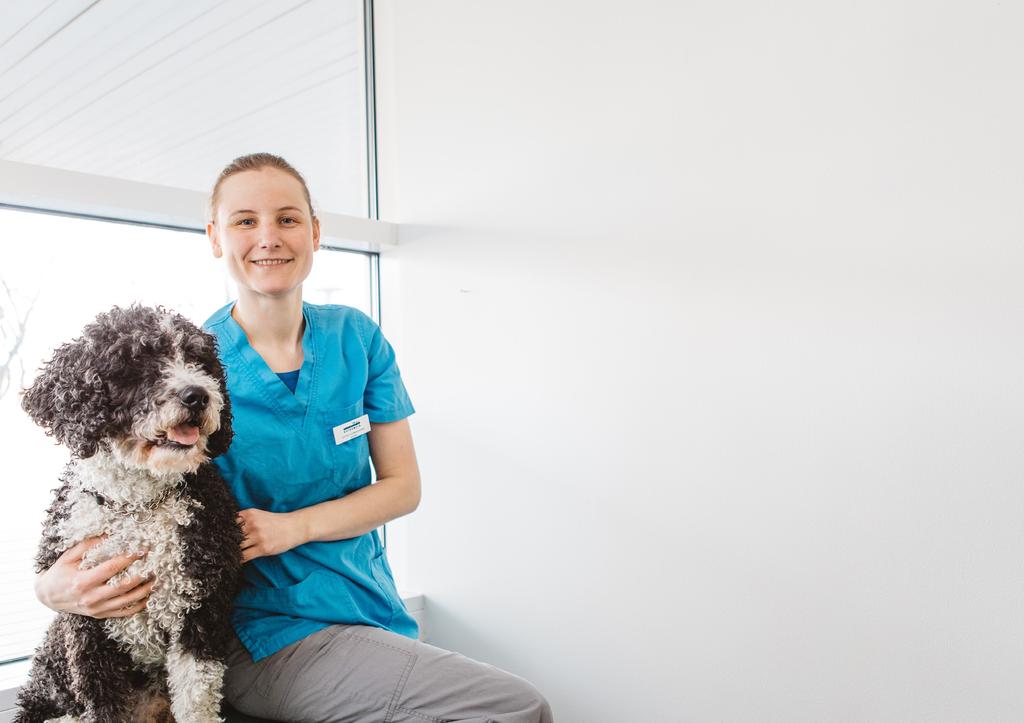 We pursue these by developing and investing in centres of excellence, where our specialists and referral vets work together to provide exceptional care in every veterinary discipline.