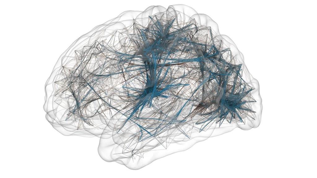 Functional Brain Networks Correlations