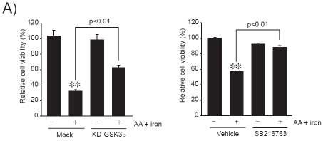 Effect of GSK3β inhibition on mitochondrial protection GSK3β GSK3β P