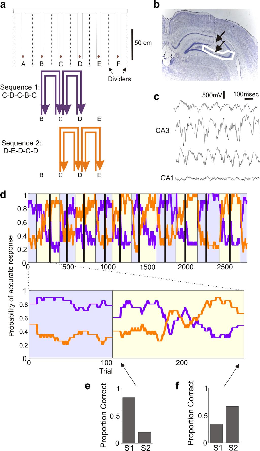 Singer et al. Coordinated Hippocampal Activity in Related Places J. Neurosci., September 1, 2010 30(35):11586 11604 11591 Figure 1. Task design and behavioral performance.