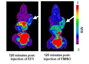 Non-invasive hypoxia PET imaging with 18 F-EF5 and 18 F-FMISO: FMISO: Pre-clinical 18 F-EF5 and 18