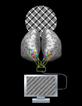 spatial attention, spatial representation. saliency map -- used by oculo-motor system (the saccade planning area ). spatial memory trace and anticipation of response before saccade.