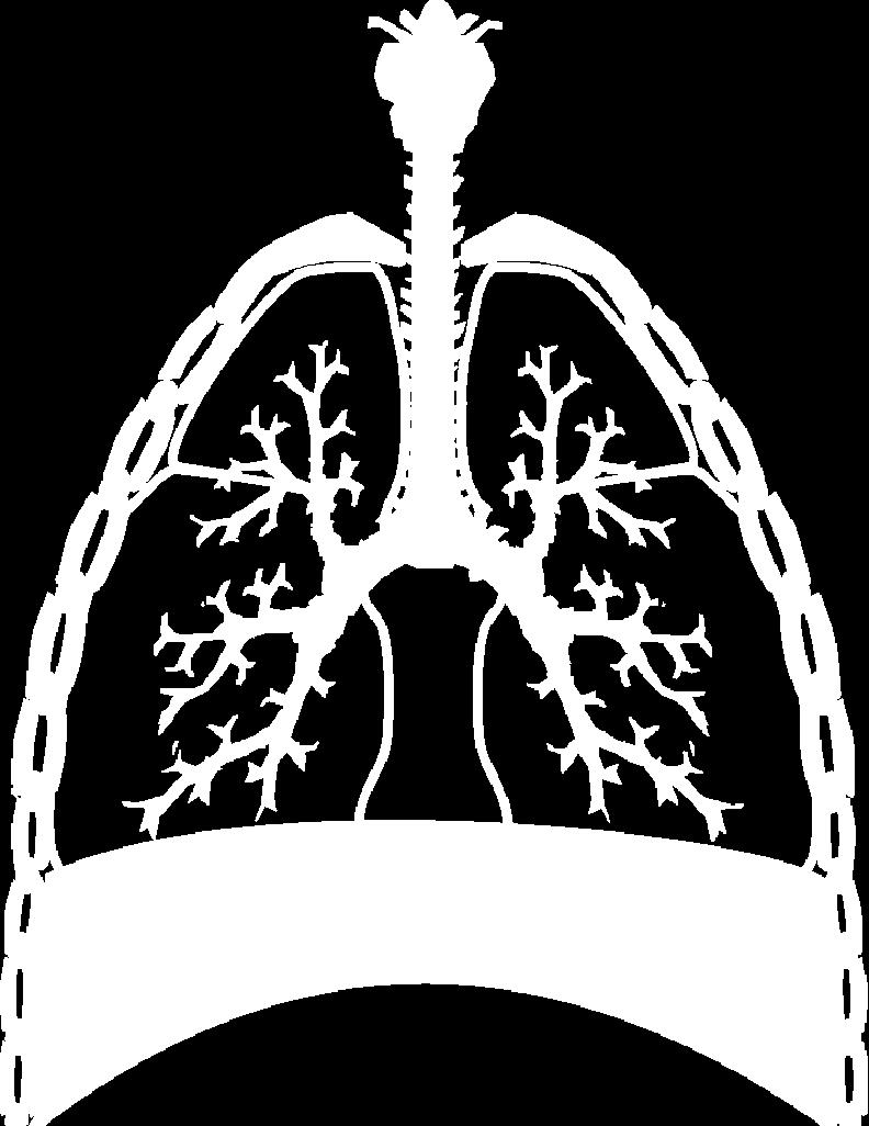 between the lungs and