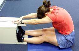 SIT AND REACH TEST What is tested: Equipment needed: Purpose of test: Static flexibility of hamstrings and lower back muscles Sit and reach box or a box / bench and metre rule To test the flexibility