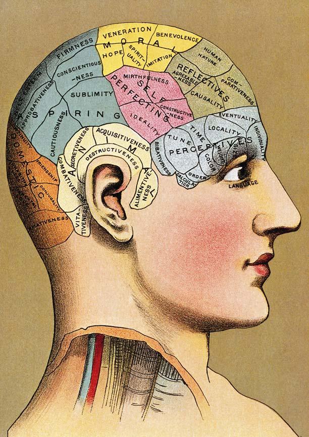History of Mind Phrenology In 1800, Franz Gall suggested that bumps of the skull represented mental abilities.
