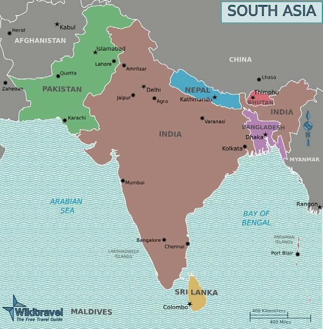 Febrile Syndromes: South Asia Typhoid Dengue Malaria Leptospirosis