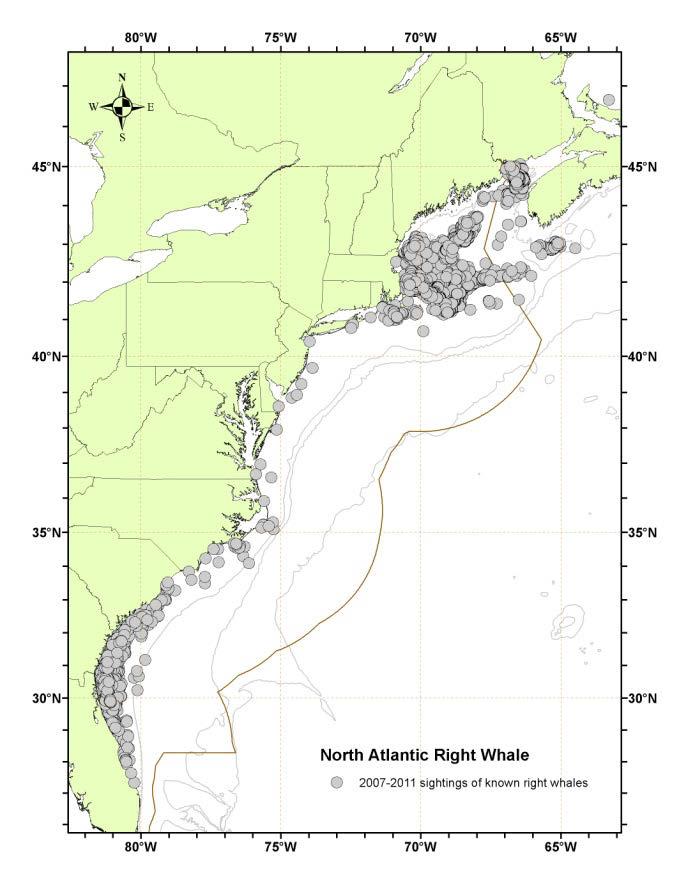 Right whales in the Southeast US some big picture thoughts Recent changes in NARW