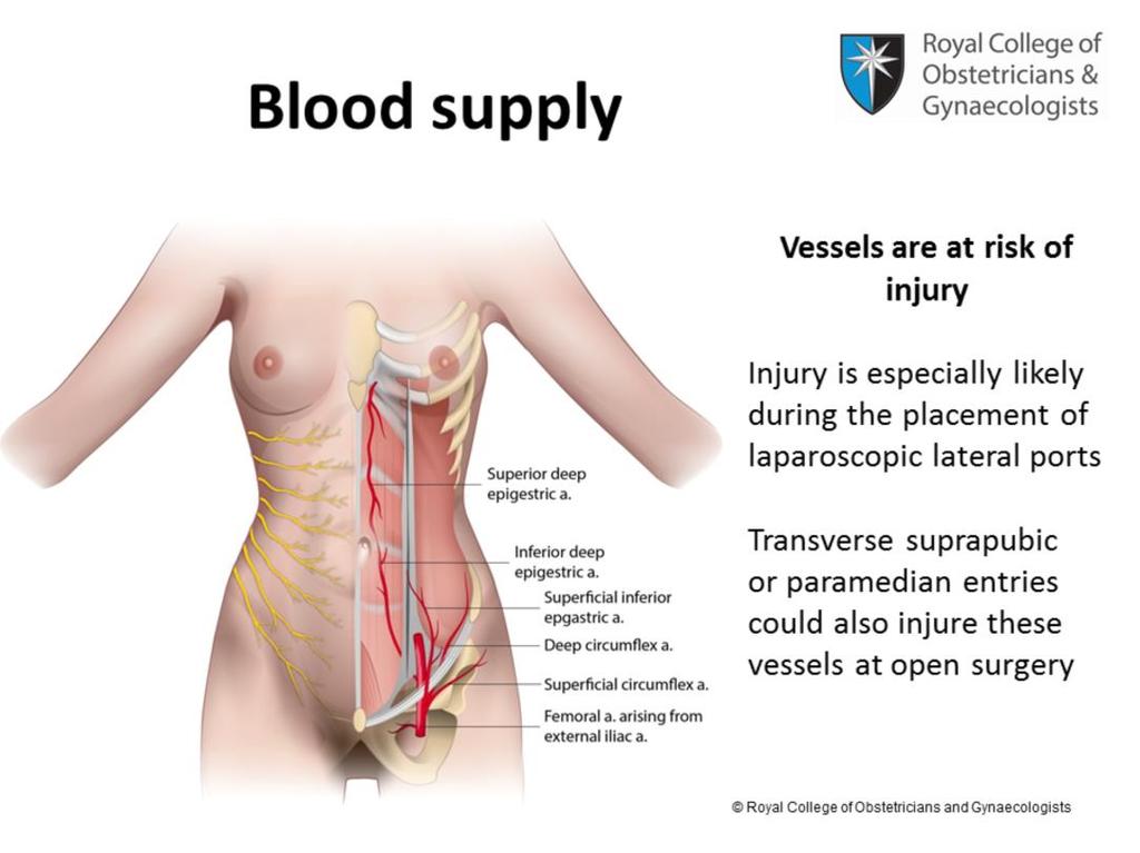 The blood supply of the abdominal wall is comprised of superficial and deep vascular supplies.