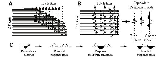 Figure 3 (A,B) Two possible physiological realizations of the coincidence matrix model (see text for details).