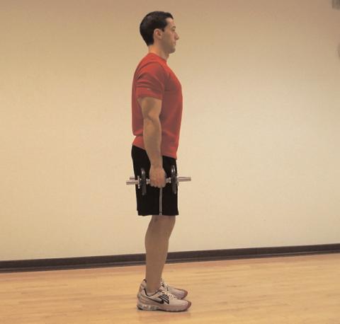 round out your back! How To: Hold dumbbells with your palms facing your body.
