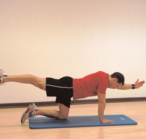 Maintain a flat back by engaging your core muscles and drawing in your abs.