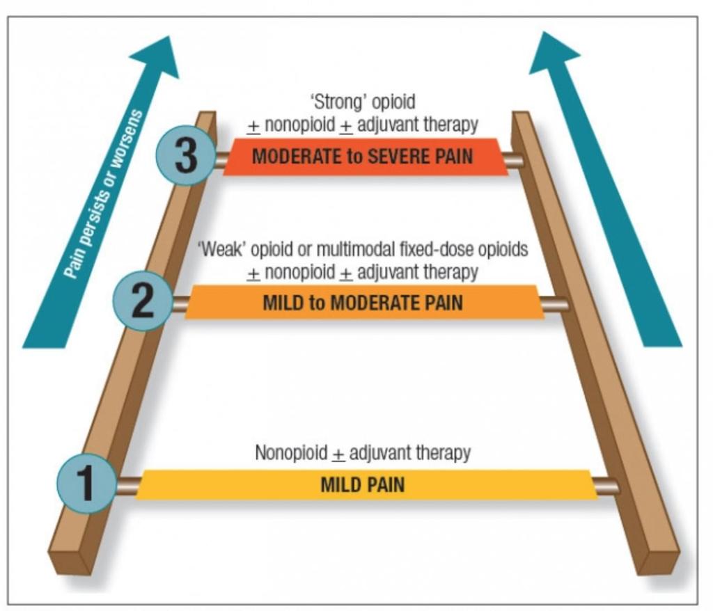 Pain Management/Analgesia Adapted from World