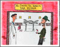 DNA Repair DNA damage is constantly occurring in our cells Cancer on Both a Cellular and