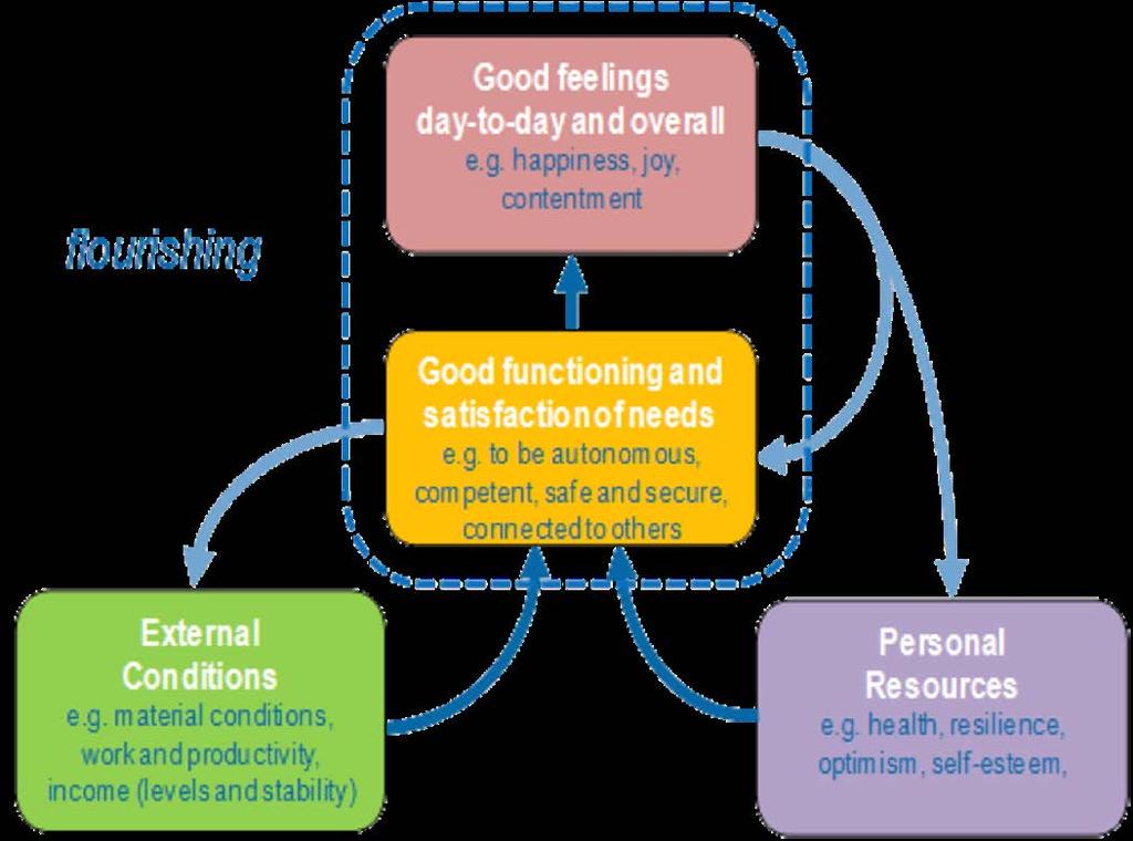 Understanding Wellbeing Adapted from the Foresight Mental