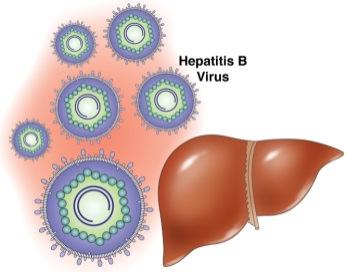 Background Hepatitis B (HB) prevalence is highest in the WHO Western Pacific Region where 6.2% of the adult population is infected.