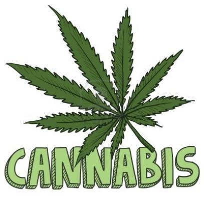 The Legal Status of Cannabis in South Africa The Drugs and Drug Trafficking Act, 1992 (Act No 140 of 1992) is currently still the controlling legislation on street drugs in South Africa including