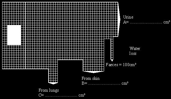 The width of the arrows shows how much water is lost in each way. (a) Work out from the diagram the water loss for urine, skin and lungs and write the correct figures in the spaces on the diagram.