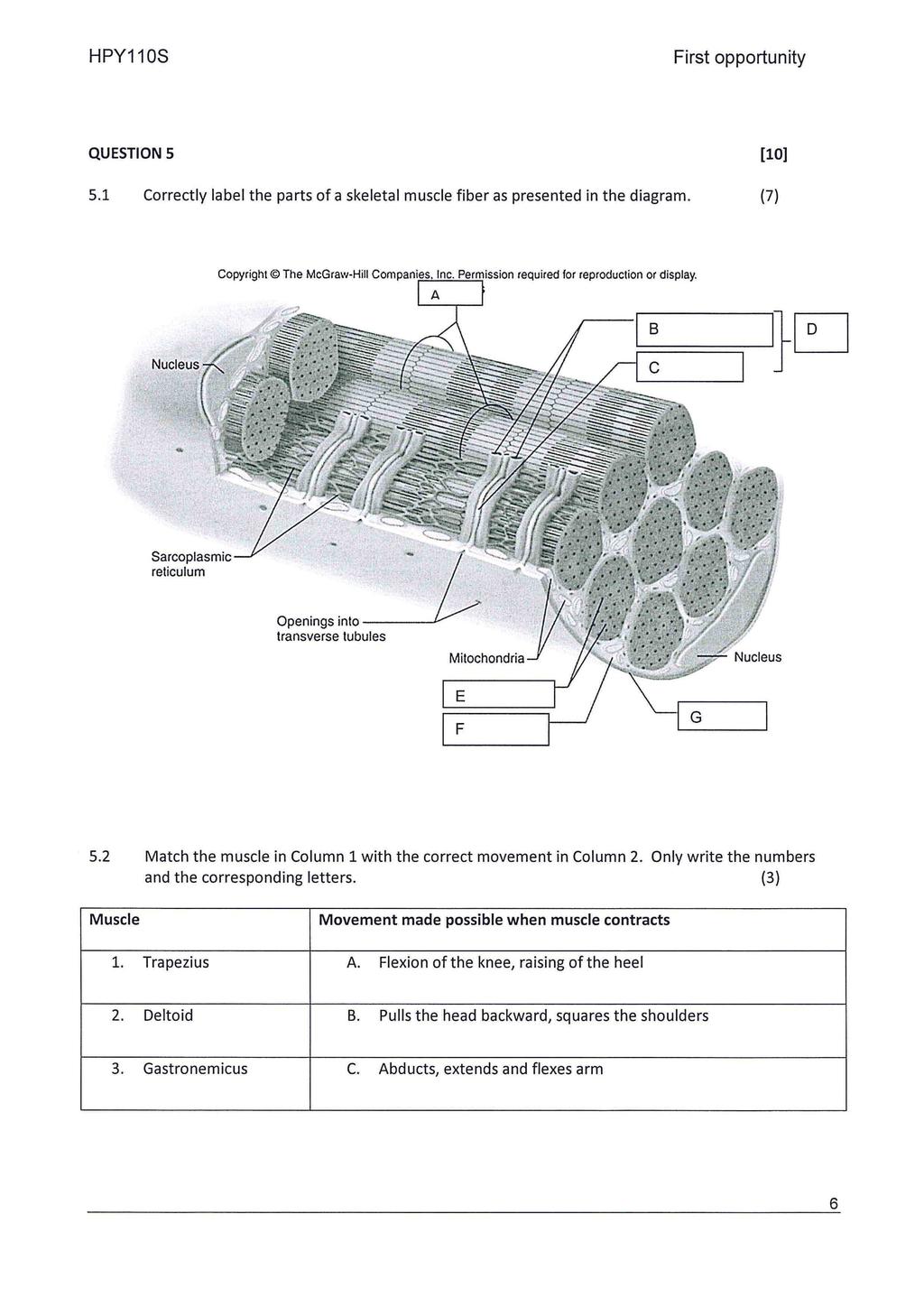 @ QUESTION 5 [10] 5.1 Correctly label the parts of a skeletal muscle fiber as presented in the diagram.