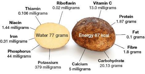 Potatoes and health Contribution to nutrient intake: Source of: Carbohydrates (starch), protein, fiber (skin) Micronutrients: vitamin C, B-vitamins, potassium Bio-active compounds: polyfenols,