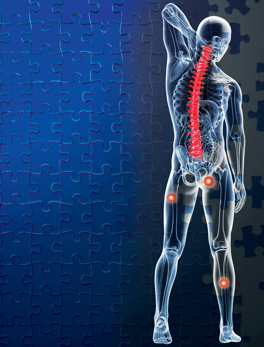 2015 Musculoskeletal Conference An interprofessional approach to back pain assessment and