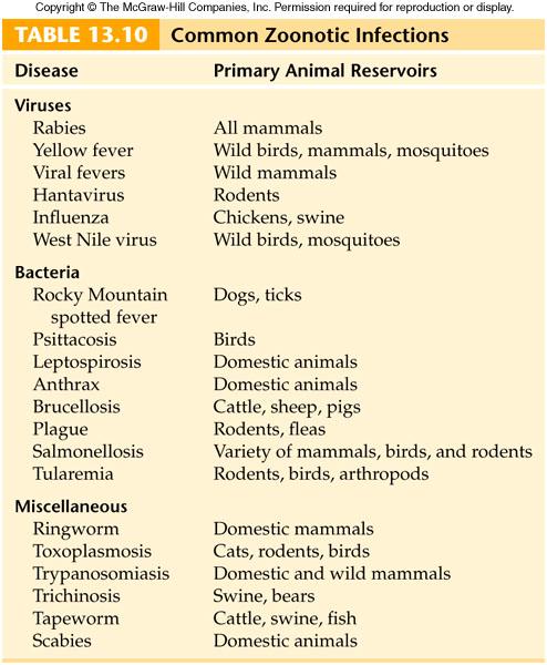Zoonotic infections are caused by vectors and animal reservoirs spreading