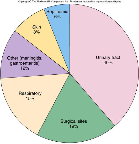 The most common nosocomial infections. Fig.