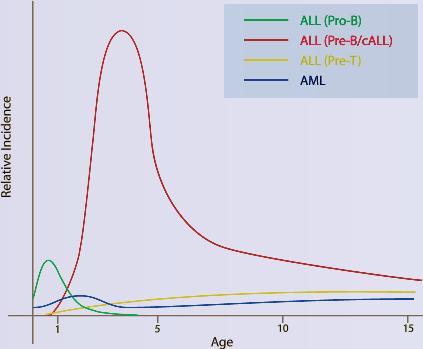 8 M. Greaves and D. Pinkel Fig. 4. Age distribution of main subtypes of childhood leukaemia.