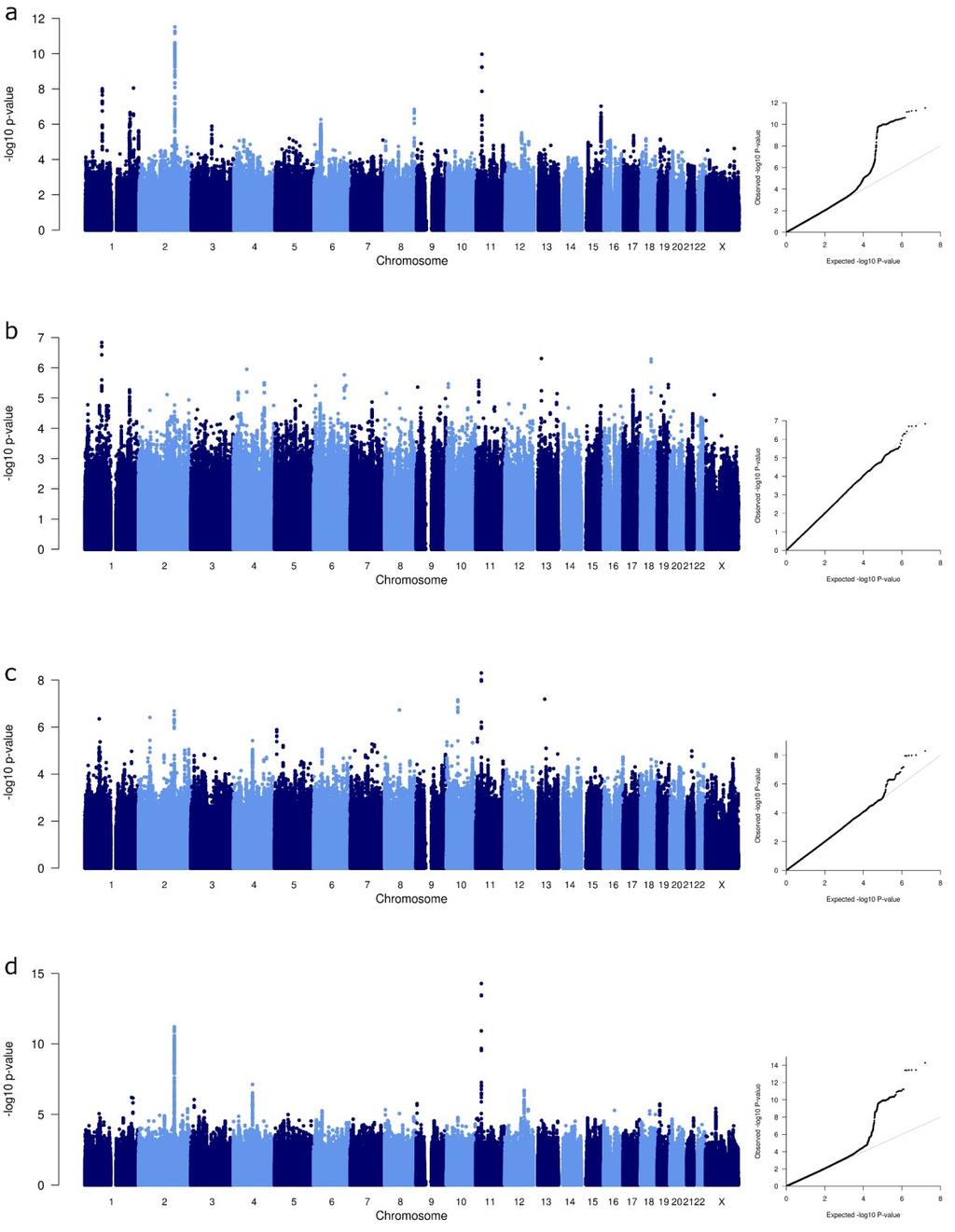 Supplementary Figure 2. Manhattan plots of log10 P values across the chromosomes (left panel) and corresponding quantile-quantile plots of observed versus expected log10 P values (right panel).