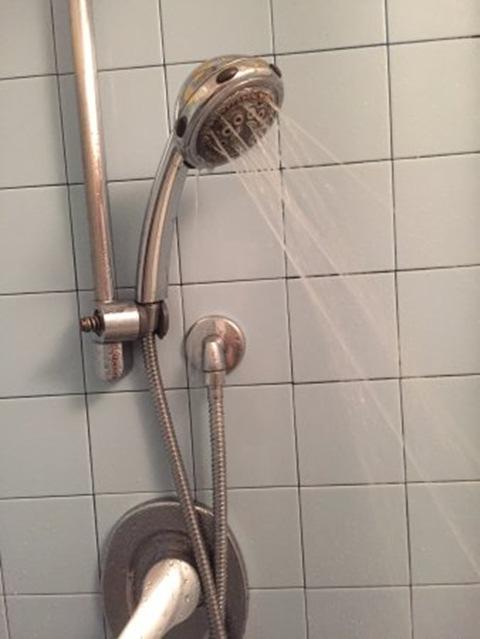 For hand-held showers, swab inside