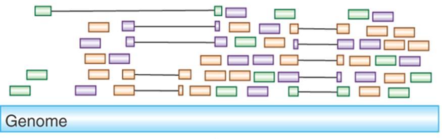 Less Quantitative Complex Protocol Genome-Wide Analysis Digital