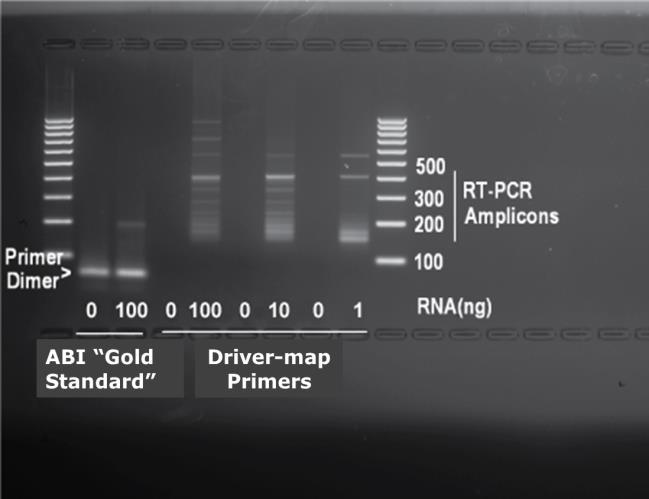 of multiplex RT- PCR/NGS experiments.
