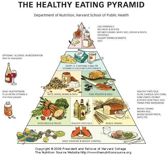 Notice this pyramid has a section on the bottom called Daily Exercise and Weight Control. It is built this way to show that daily exercise and weight control are the foundation for good health.