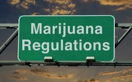 Recent History of Cannabis in California 1996 - Proposition 215 Authorized medicinal cannabis use 2015 - The Medical Marijuana Regulation and Safety Act Three bills co-joined AB 243, AB
