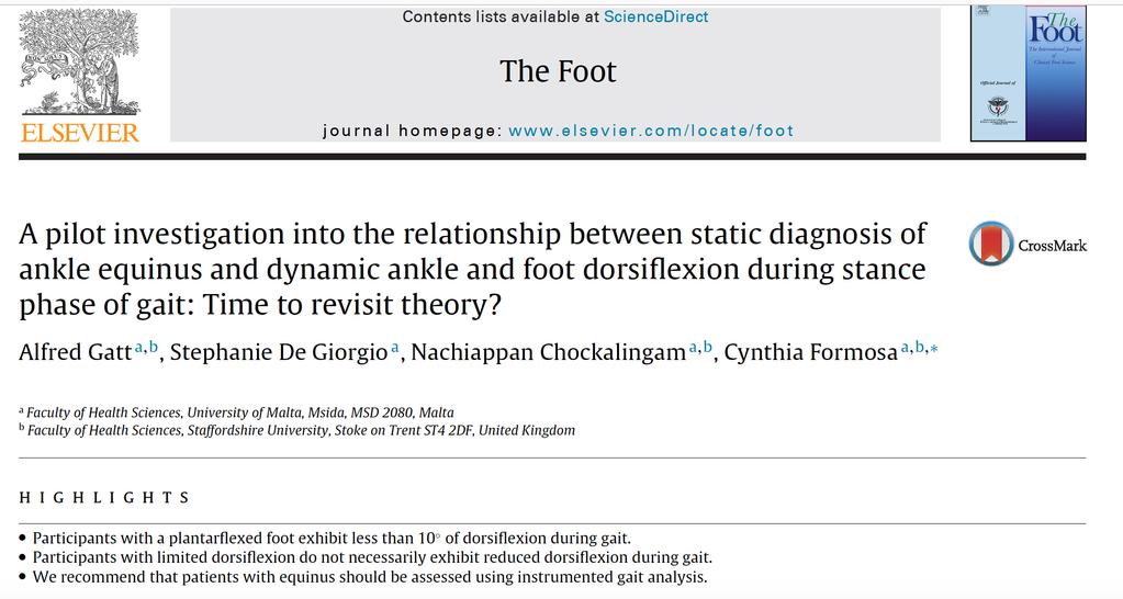 Foot is both a static and dynamic structure Changes its shape according