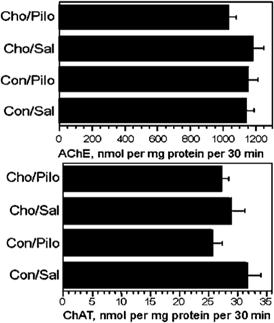 B, Comparison of choline-supplemented and control animals after pilocarpine-induced status epilepticus. Animals receiving choline performed significantly better than the controls.