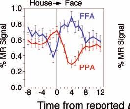 (b) Top panel shows the fluctuations in activity in both the FFA (blue) and PPA (red) during binocular rivalry.