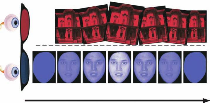 (2004) study. The red building presented to the left eye suppresses the face in the right eye out of awareness, as in binocular rivalry. The faces have emotional expressions.