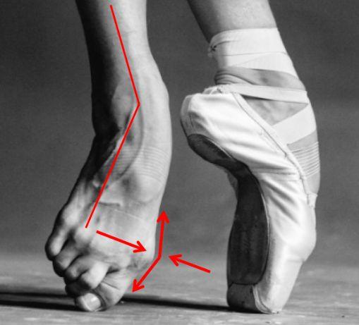 Biomechanics: Standing En Pointe Walking in pointe shoes doubles the peak pressure acting on the foot Pointe shoes versus barefoot: (41 N/cm2 vs.