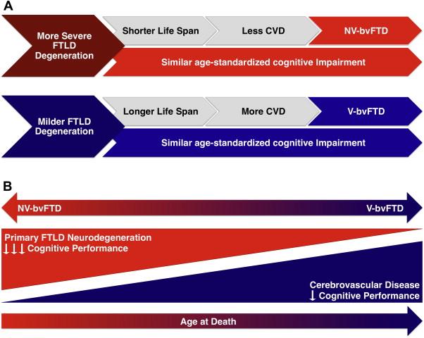 Conclusions Torralva and Sposato et al Severe primary FTLD neurodegeneration as cause of worse cognition at younger ages V-bvFTD: