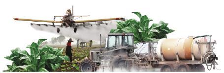 Pesticides used in tobacco growing and their potential harms As a monocrop, tobacco plants are vulnerable to a variety of pests and diseases, prompting many farmers to apply