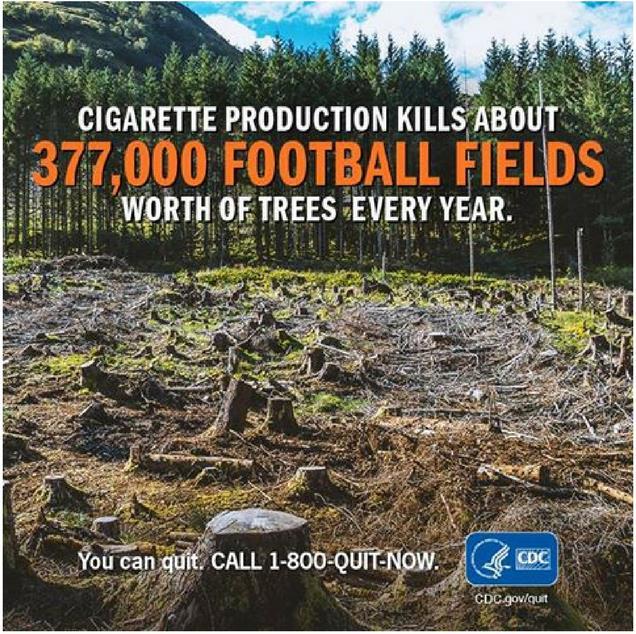 The Impact of Tobacco Growing and Curing Tobacco growing and curing cause deforestation, loss of biodiversity and land desertification.