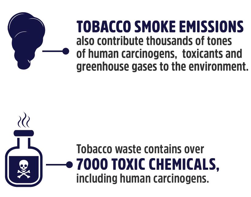 Pollution from consuming tobacco products Tobacco smoke