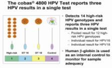 Invalid HPV testing inhibited Invalid HPV testing sample adequacy control - Why invalid?