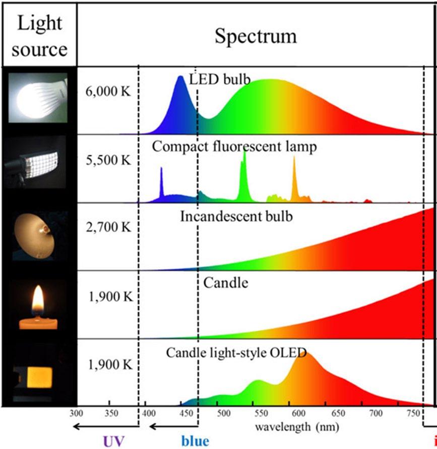 3. Light impact on human