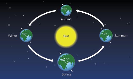 1. The circadian cycle The biological clock and calendar: Life on earth has evolved over millions