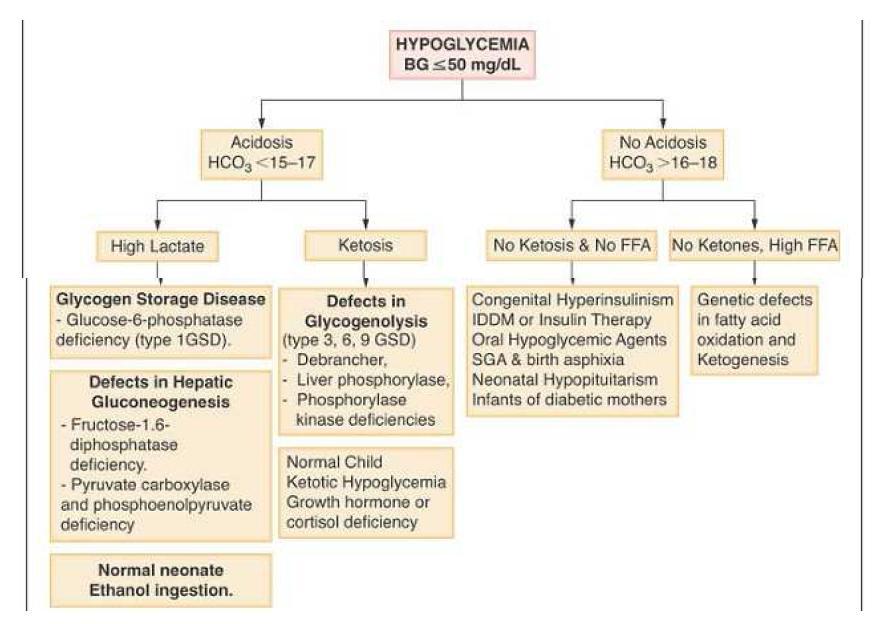 HYPOGLYCEMIA In a newborn a value less than 40mgm% is hypoglycemia In a