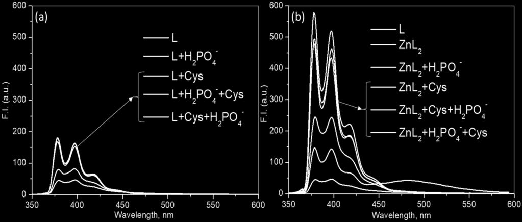 Fig. S14. UV-Visible absorbance spectra of ZnL 2 (2.5 10-5 M, H 2 O) with Cys, Gsh and Hcy (50 µl, 1 10-3 M, H 2 O). Fig. S15. Fluorescence spectra of L (2.5 10-5 M) and ZnL 2 (2.