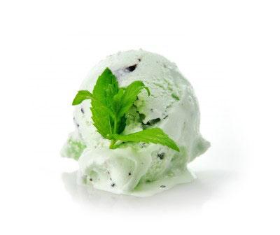 ICE CREAM TOCOBIOL TOCOBIOL PLUS GP Natural and semi natural antioxidant specially appropriate