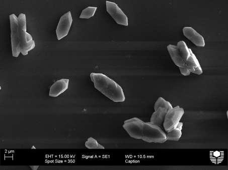 2- (6.02 mm) Figure S6. SEM image of calcium oxalate (0.