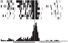 First and second horizontal lines below each histogram indicate the object presentation and object holding periods, respectively, averaged across trials.